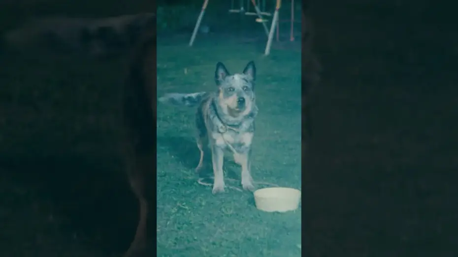 Відео до фільму Вулиця Флауервейл | Did anybody else see it?