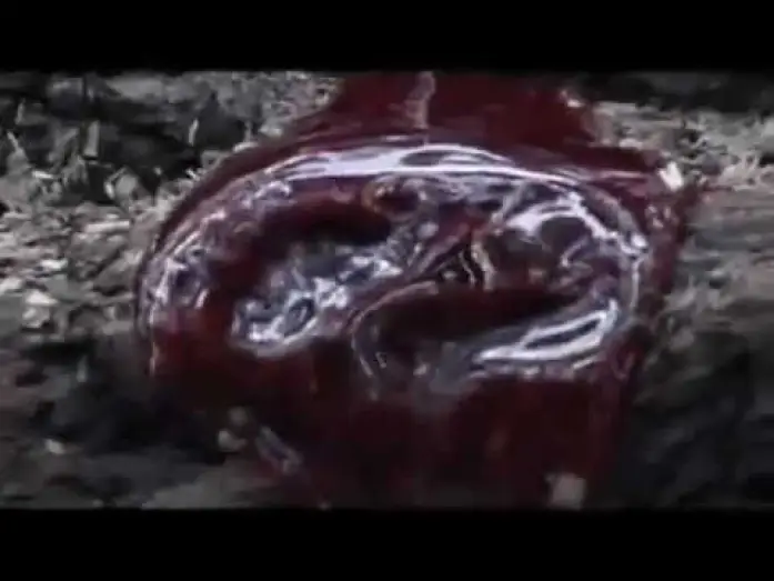 Відео до фільму Severed — Severed - Forest of the Dead 2005 Trailer