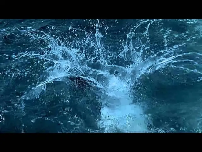 Відео до фільму Deep Blue — Deep-Blue - Trailer (Deutsch)