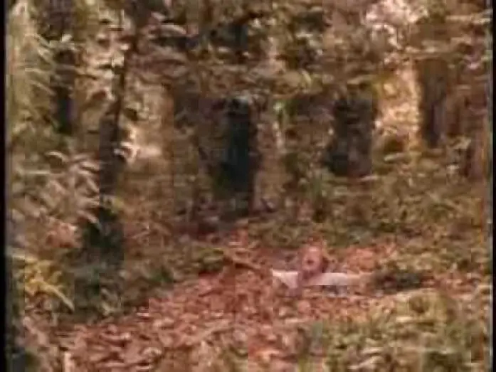 Відео до фільму The Serpent and the Rainbow — Die Schlange im Regenbogen,Trailer
