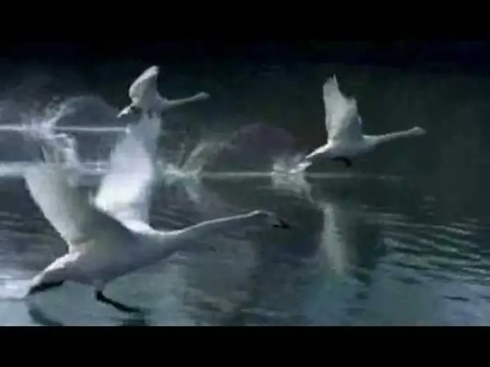 Відео до фільму Птахи – мандрівний народ — Winged Migration (Le Peuple migrateur) - Trailer
