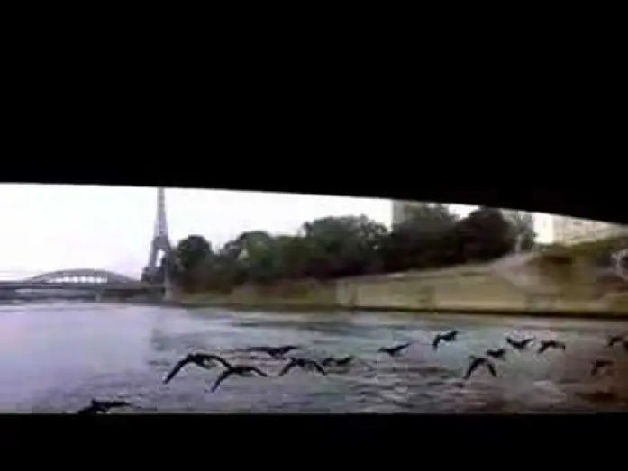 Відео до фільму Птахи – мандрівний народ — Winged Migration trailer