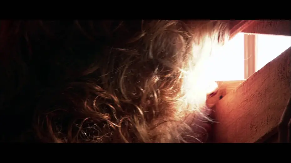 Відео до фільму Feast II: Sloppy Seconds — Feast II: Sloppy Seconds - Trailer