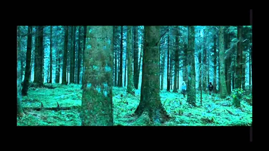 Відео до фільму Гриби — Shrooms - trip senza ritorno trailer ita