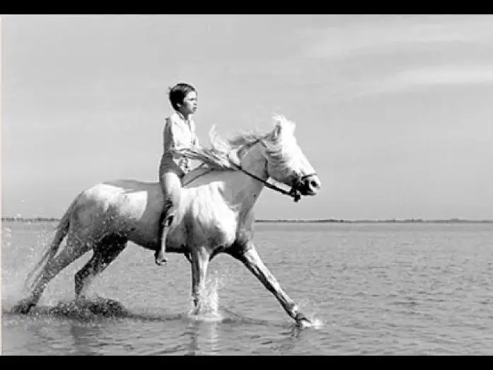 Відео до фільму Crin Blanc : Le Cheval sauvage — ¨Crin-Blanc¨ - Albert Lamorisse