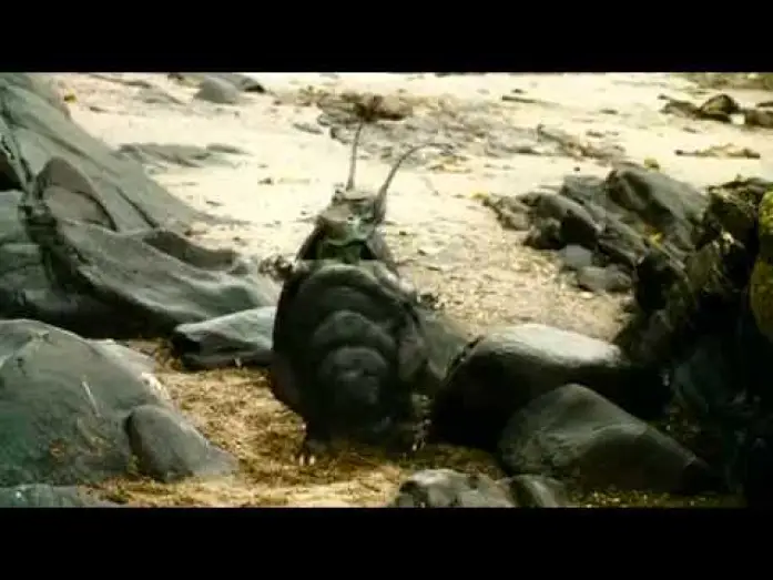 Відео до фільму Five Children and It — Five Children and It - Trailer