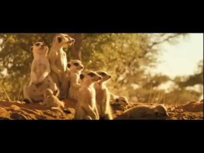 Відео до фільму Сурикати — LA FAMILLE SURICATE - Bande Annonce VF