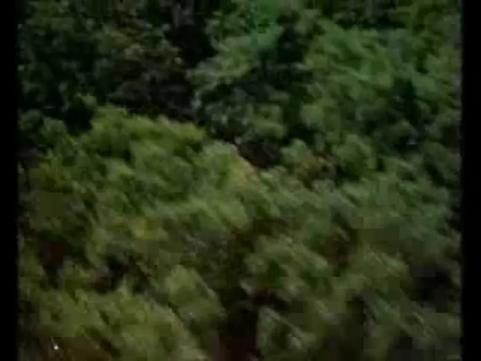 Відео до фільму Смак сонячного світла — Sunshine (1999) Trailer - Ralph Fiennes