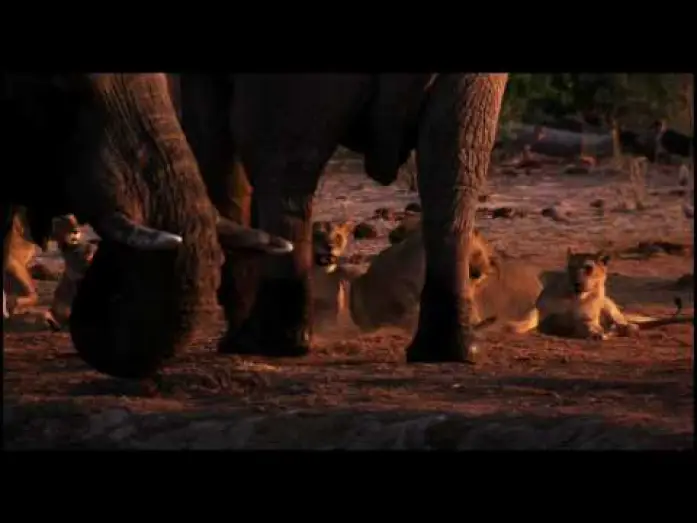 Відео до фільму Земля — Earth Trailer by Disney Nature (HD)
