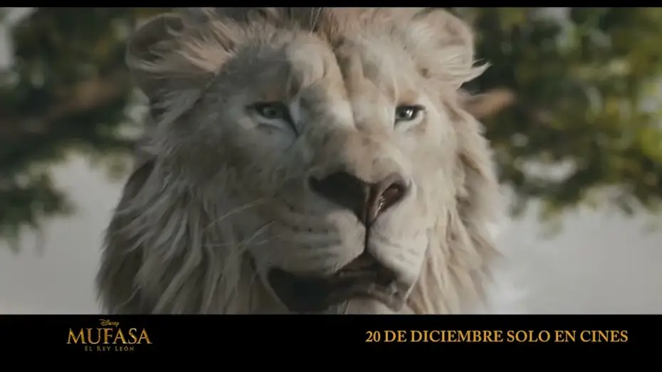 Відео до фільму Муфаса: Король Лев | Anuncio: 'Mufasa y Scar'