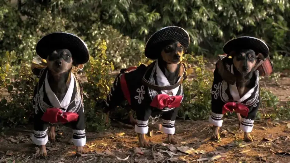 Відео до фільму Крихітка з Беверлі-Хіллз 3 — Beverly Hills Chihuahua 3 Trailer #1