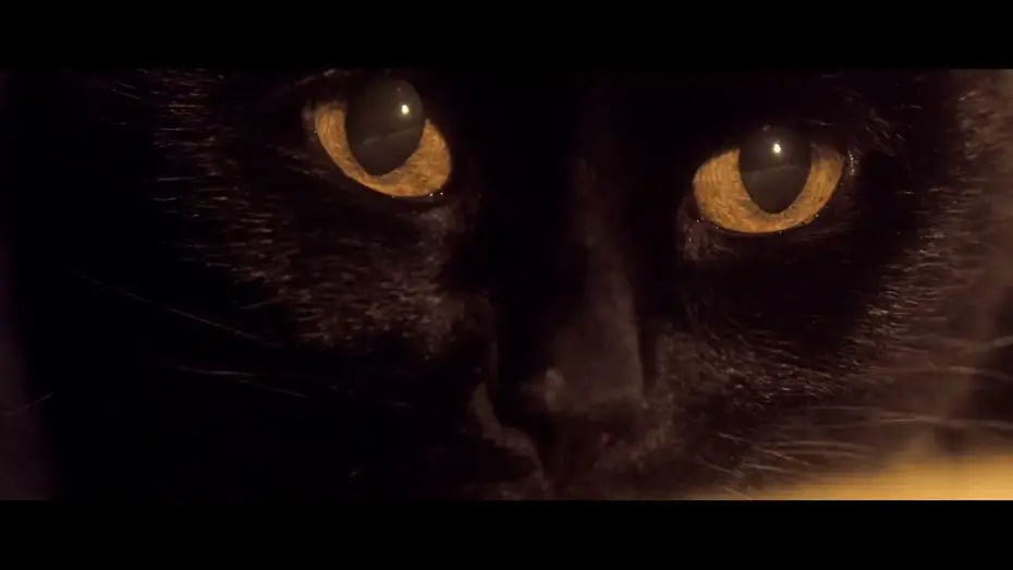 Відео до фільму Somos animales — Somos animales