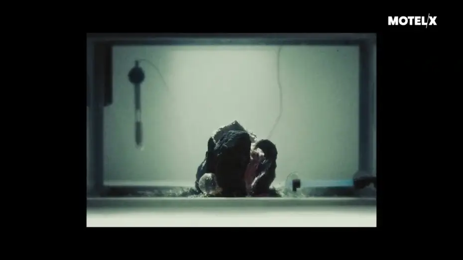 Відео до фільму From.Beyond — From.Beyond (2022) |  Trailer