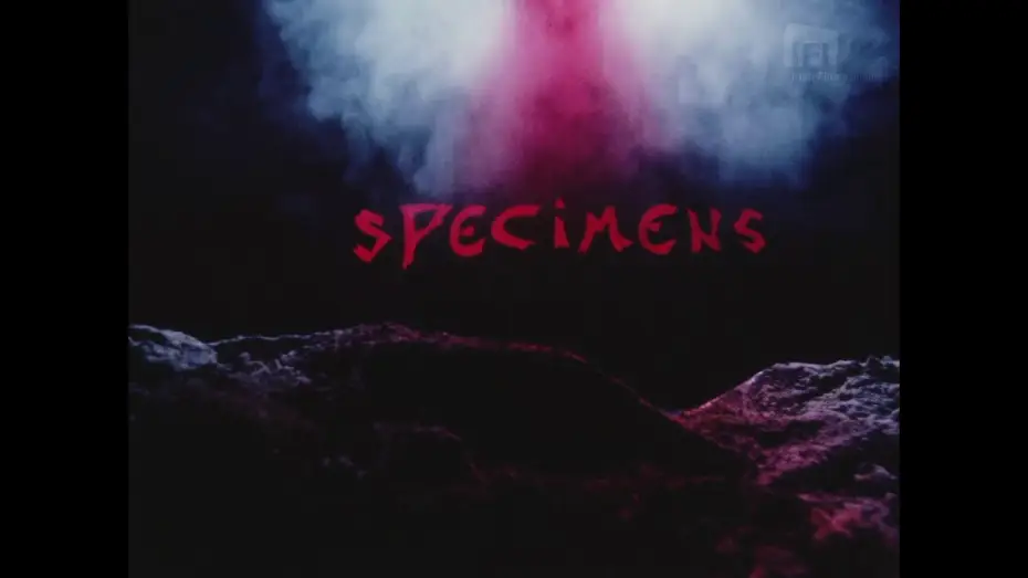 Відео до фільму Specimens | Roy Spence: Specimens