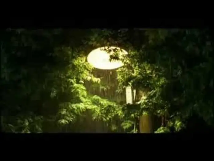 Відео до фільму 너는 내 운명 — You Are My Sunshine trailer