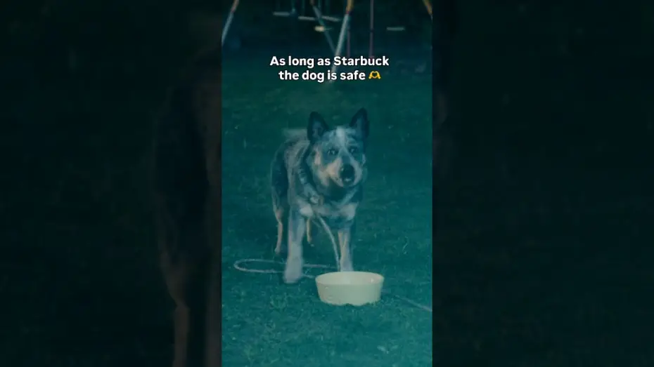 Відео до фільму Кінець Оук-Стріт — Always rooting for the dog...