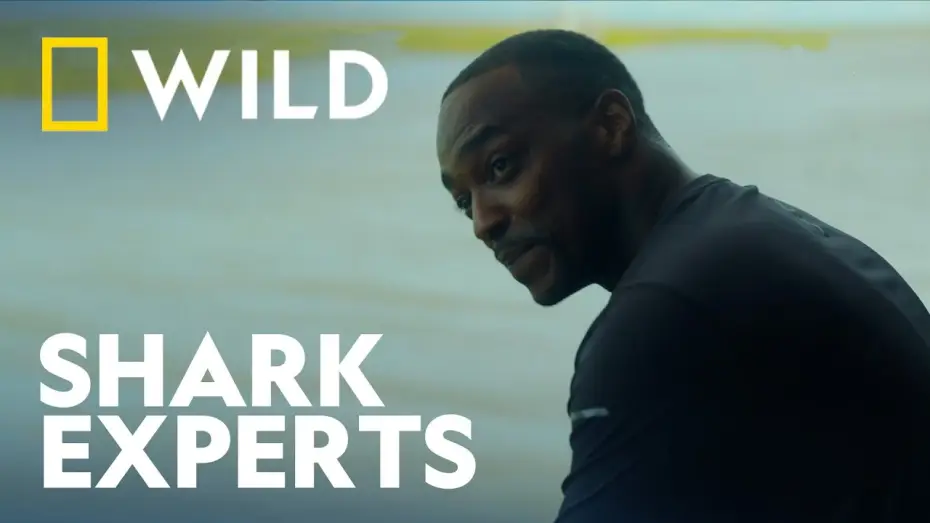 Відео до фільму Shark Beach with Anthony Mackie — Clip