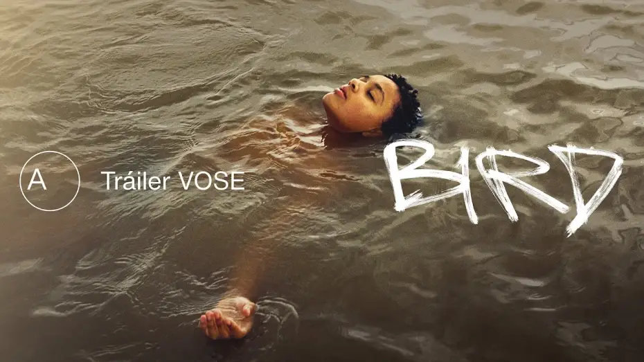 Відео до фільму Птах — Bird | Tráiler español VOSE | Avalon