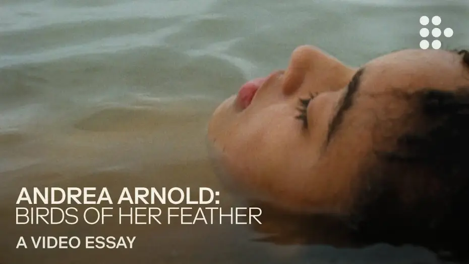 Відео до фільму Птах — Video essay: “Andrea Arnold: Birds of Her Feather”