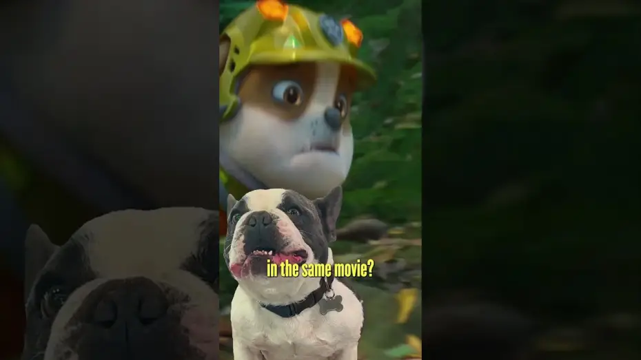 Відео до фільму Щенячий патруль: Динофільм — Puppy Trailer Reaction