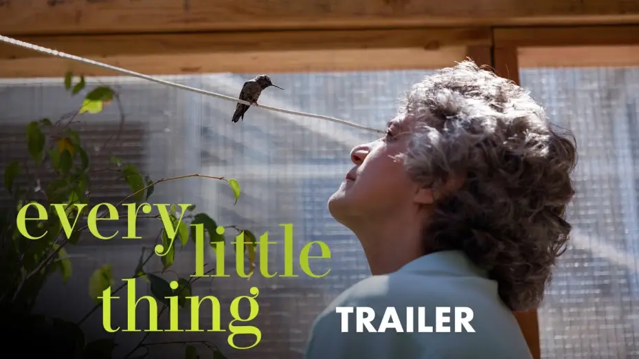 Відео до фільму Every Little Thing — Trailer