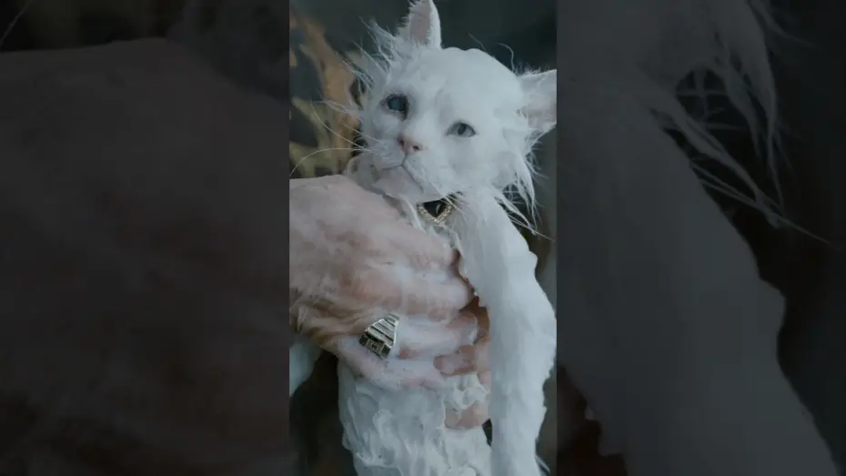 Відео до фільму Діґґер — Ain’t Maggie sweet?