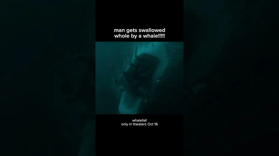 Відео до фільму Падіння кита — thats gonna leave a bruise