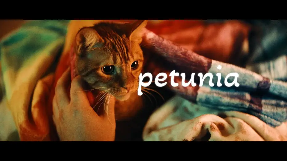 Відео до фільму Petunia — Petunia Trailer