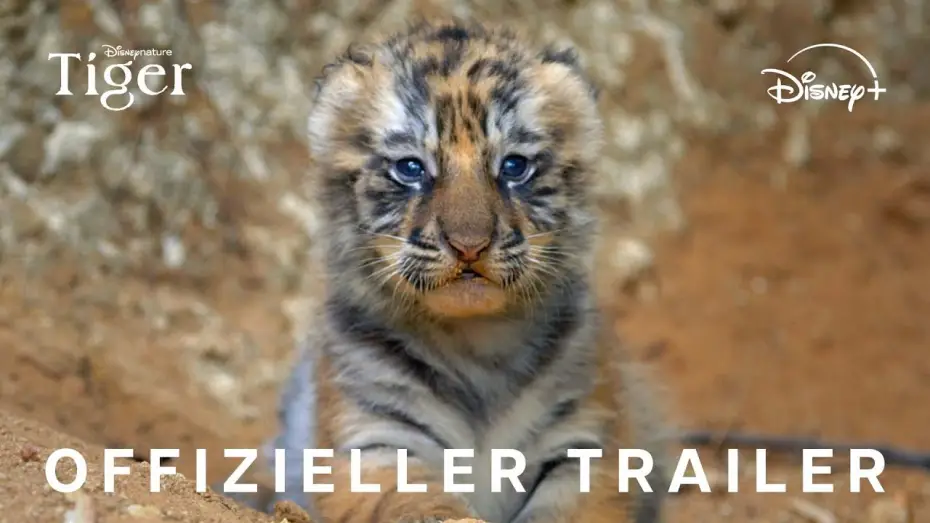 Відео до фільму Tiger — Offizieller Trailer (OmdU)