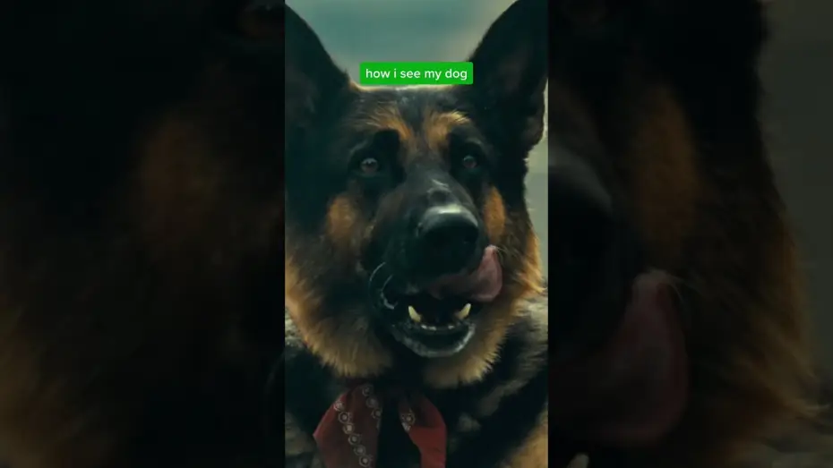 Відео до фільму Серце звіра — You’ll fall in love with Odin, too.