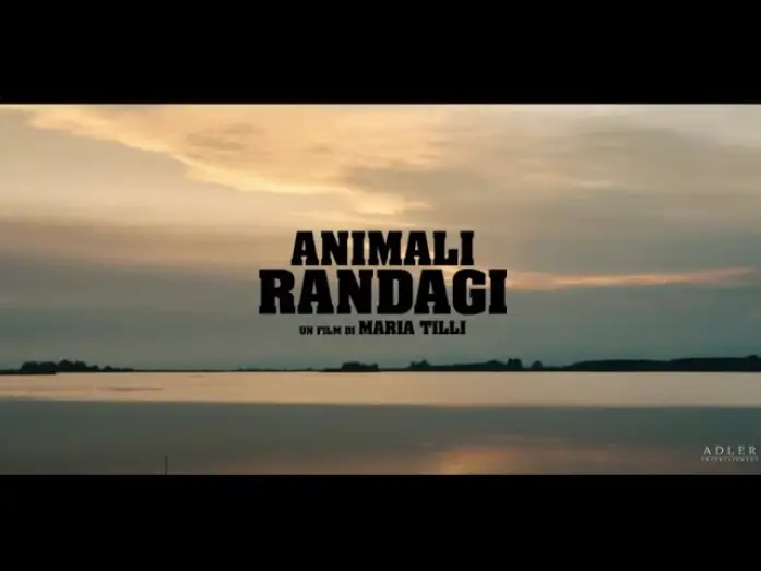 Відео до фільму Animali randagi — Animali Randagi di Maria Tilli | Trailer Ufficiale | Dal 27 Giugno al cinema