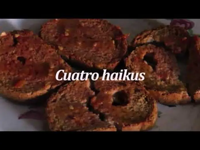 Відео до фільму Cuatro Haikus — Cuatro Haikus (Guillermo Amengual, 2023)