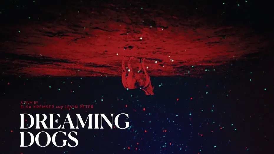 Відео до фільму Dreaming Dogs — Trailer DREAMING DOGS (Elsa Kremser & Levin Peter) OmdU