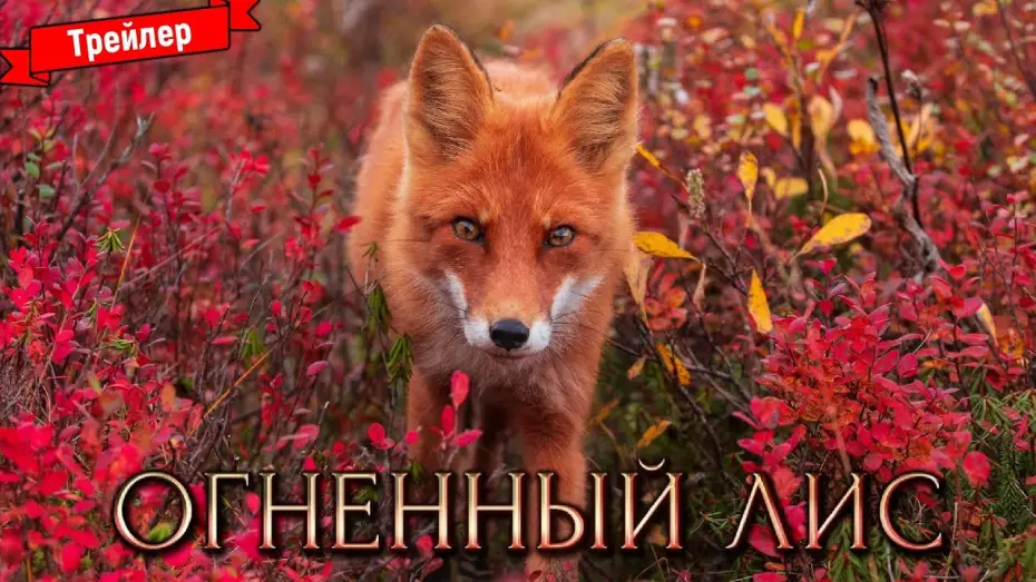 Відео до фільму Огненный лис — Огненный лис — трейлер