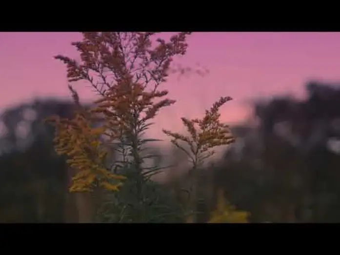 Відео до фільму Frail Grounds — Frail Grounds Teaser Trailer