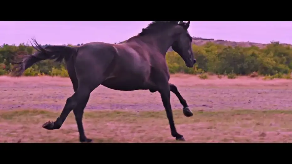 Відео до фільму No Horses on Mars — Trailer