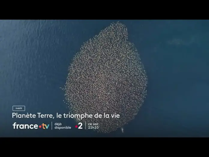 Відео до фільму Planète Terre, héros de la nature — [ Bande annonce ] Planète Terre, le triomphe de la vie