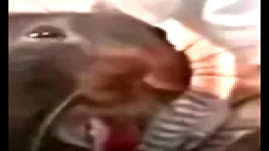 Відео до фільму Verguizas Cabronas — Burping Rat Meme from Afffirmations