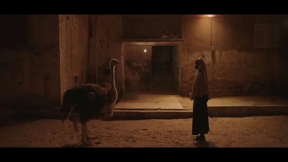 Відео до фільму عائشة لا تستطيع الطيران — Aisha Can't Fly Away Trailer - African Film Festival Atlanta (AFFATL) 2026