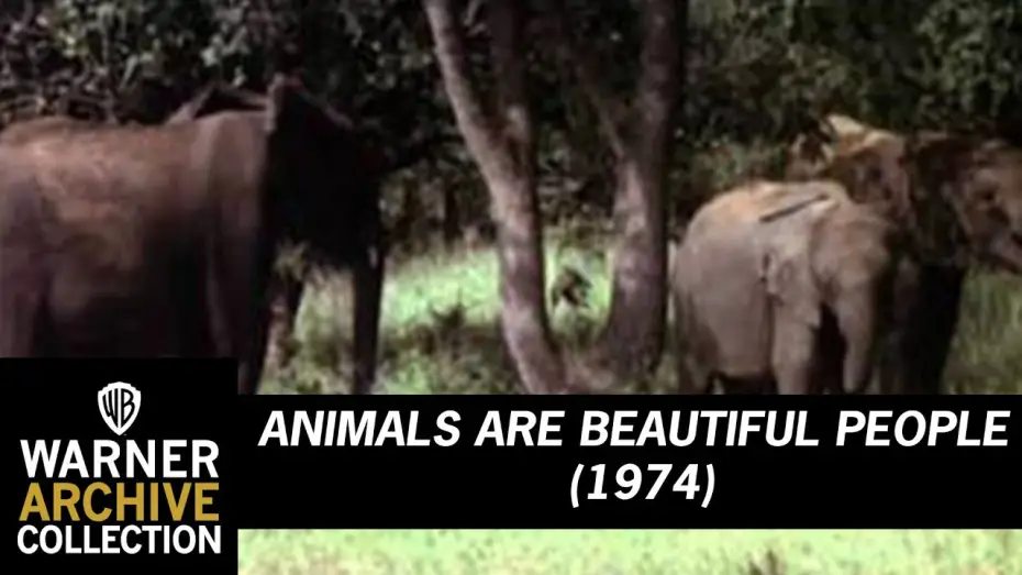 Відео до фільму Animals Are Beautiful People — Animals Are Beautiful People (Original Theatrical Trailer)