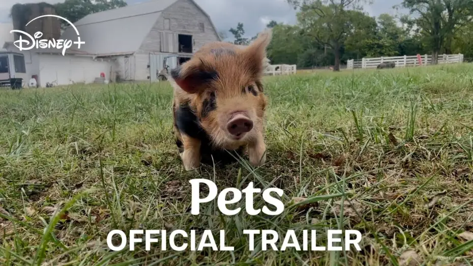 Відео до фільму Pets — Official Trailer
