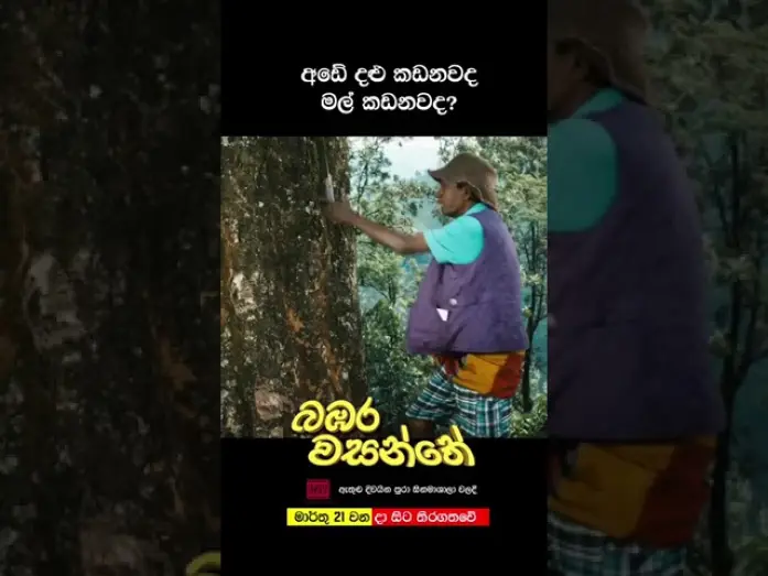 Відео до фільму බඹර වසන්තේ | අඩේ දළු කඩනවද මල් කඩනවද?!!?