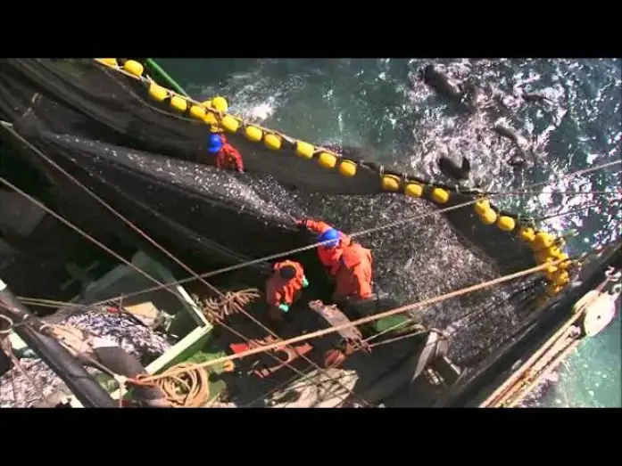 Відео до фільму Планета Океан — Planet Ocean: il trailer del film-documentario di Yann Arthus-Bertrand