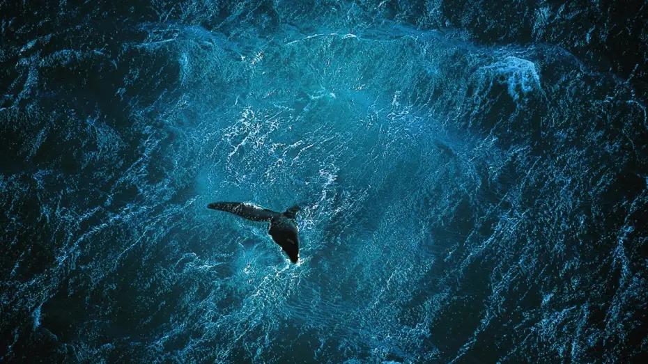 Відео до фільму Планета Океан — Planet Ocean [UK]- the film by Yann Arthus-Bertrand & Michael Pitiot