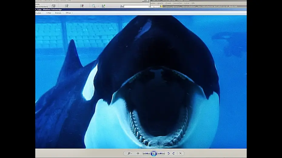 Відео до фільму Кит-убивця — BLACKFISH | Trailer german deutsch [HD]