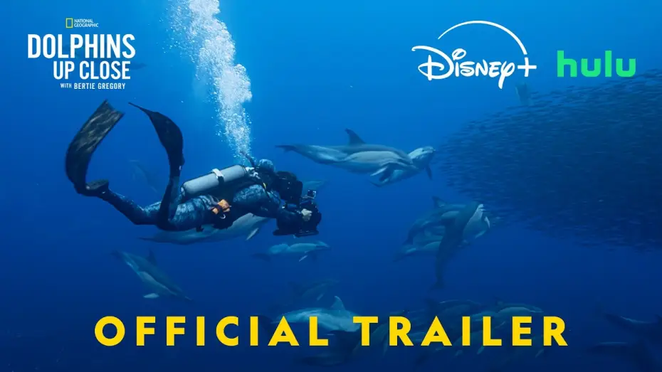 Відео до фільму Dolphins Up Close with Bertie Gregory | Official Trailer