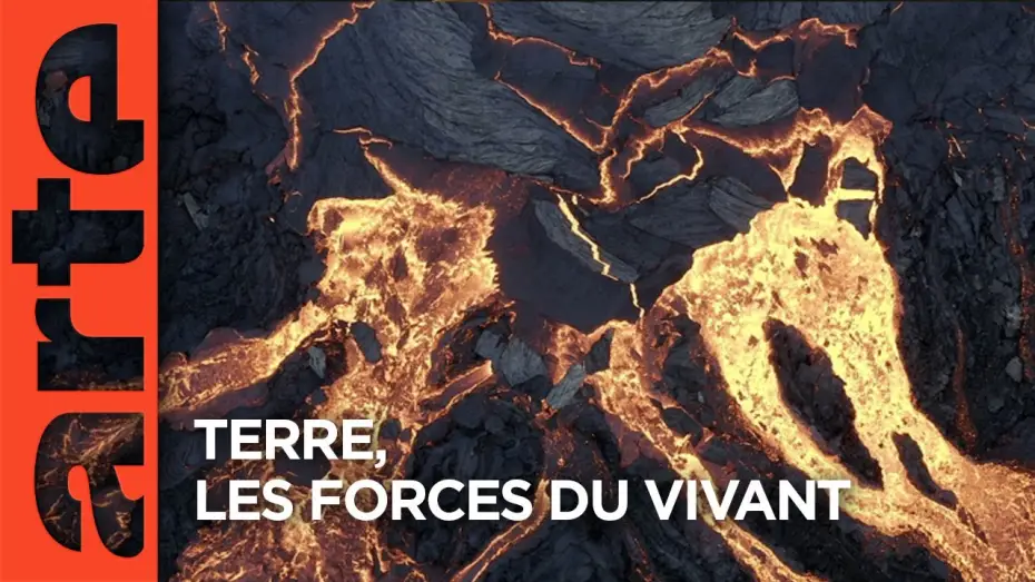 Відео до фільму Terre, Les Forces du Vivant — Terre, les forces du vivant | Documentaire | ARTE