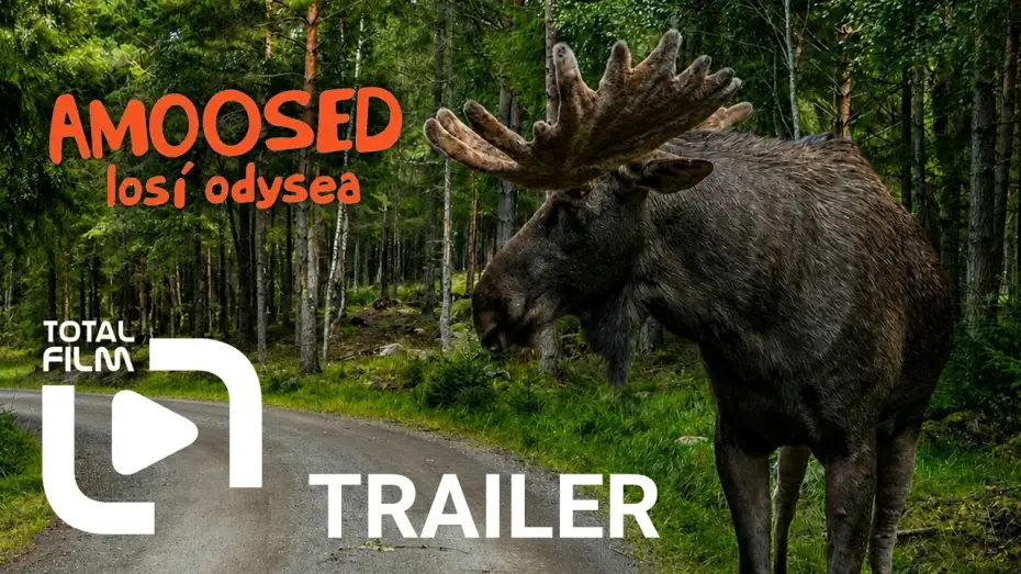 Відео до фільму AMOOSED: losí odysea — Amoosed: losí odysea (2025) HD trailer