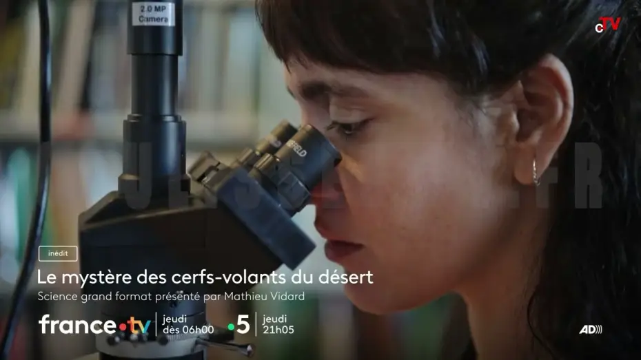 Відео до фільму Le myst&egrave;re des cerfs-volants du d&eacute;sert | Le myst&egrave;re des cerfs-volants du d&eacute;sert jeudi 4 d&eacute;cembre 2025 sur France 5