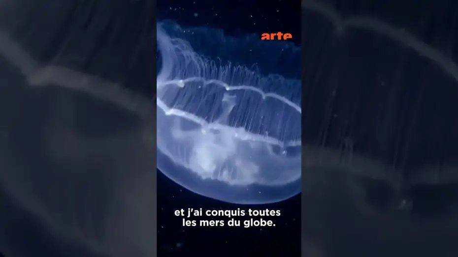Відео до фільму Le grand cirque des marées — Les souveraines des océans 🌊 #arteévasion #méduse #animaux
